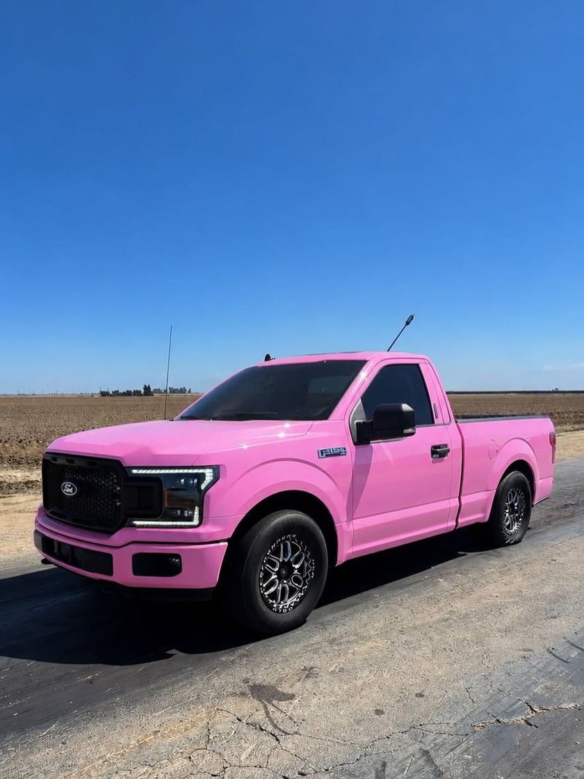 Ford F-150 — Gloss pink by Sheer Auto Styling, Santa Maria